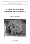 In situ transformations of minera particles in soils-0