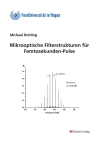 Mikrooptische Filterstrukturen für Femtosekunden-Pulse-0